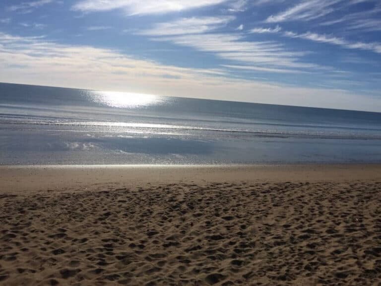 What Is There To Do At Moore Park Beach?