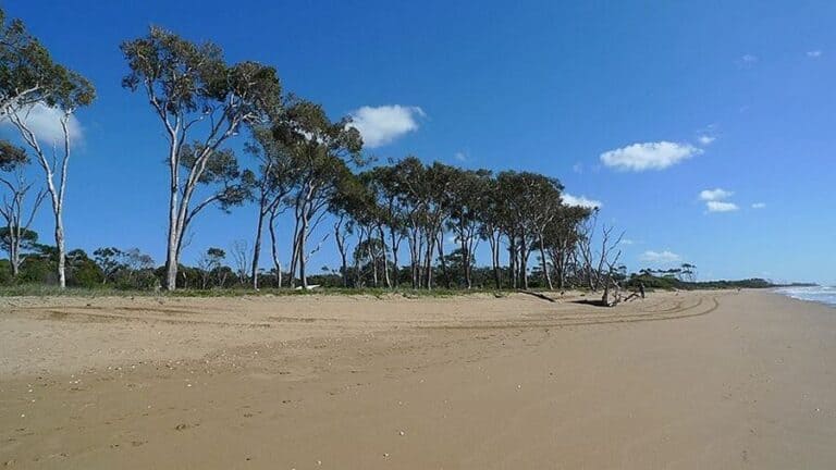 What Is There To Do At Moore Park Beach?